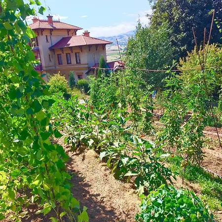 Oda ve Kahvaltı La Source Doree Chevinay