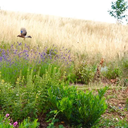 Panzió La Source Doree 3*